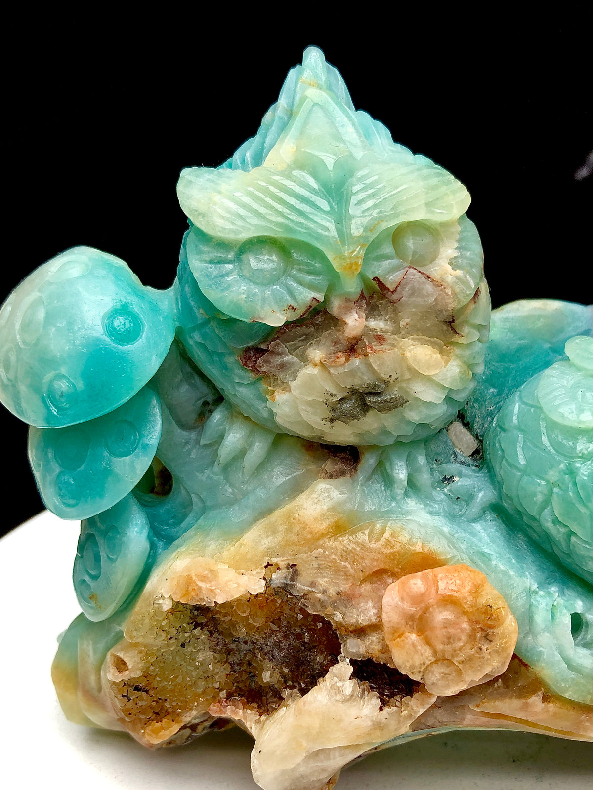 Caribbean calcite owl