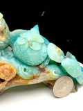 Caribbean calcite owl
