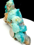 Caribbean calcite owl