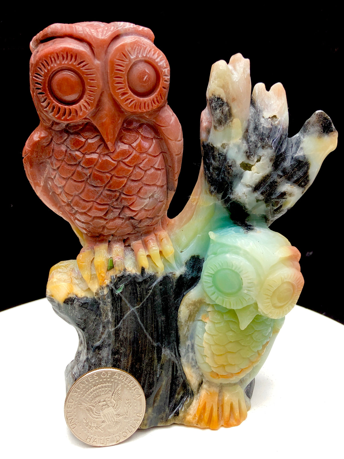 Caribbean calcite owl