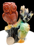 Caribbean calcite owl