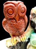 Caribbean calcite owl