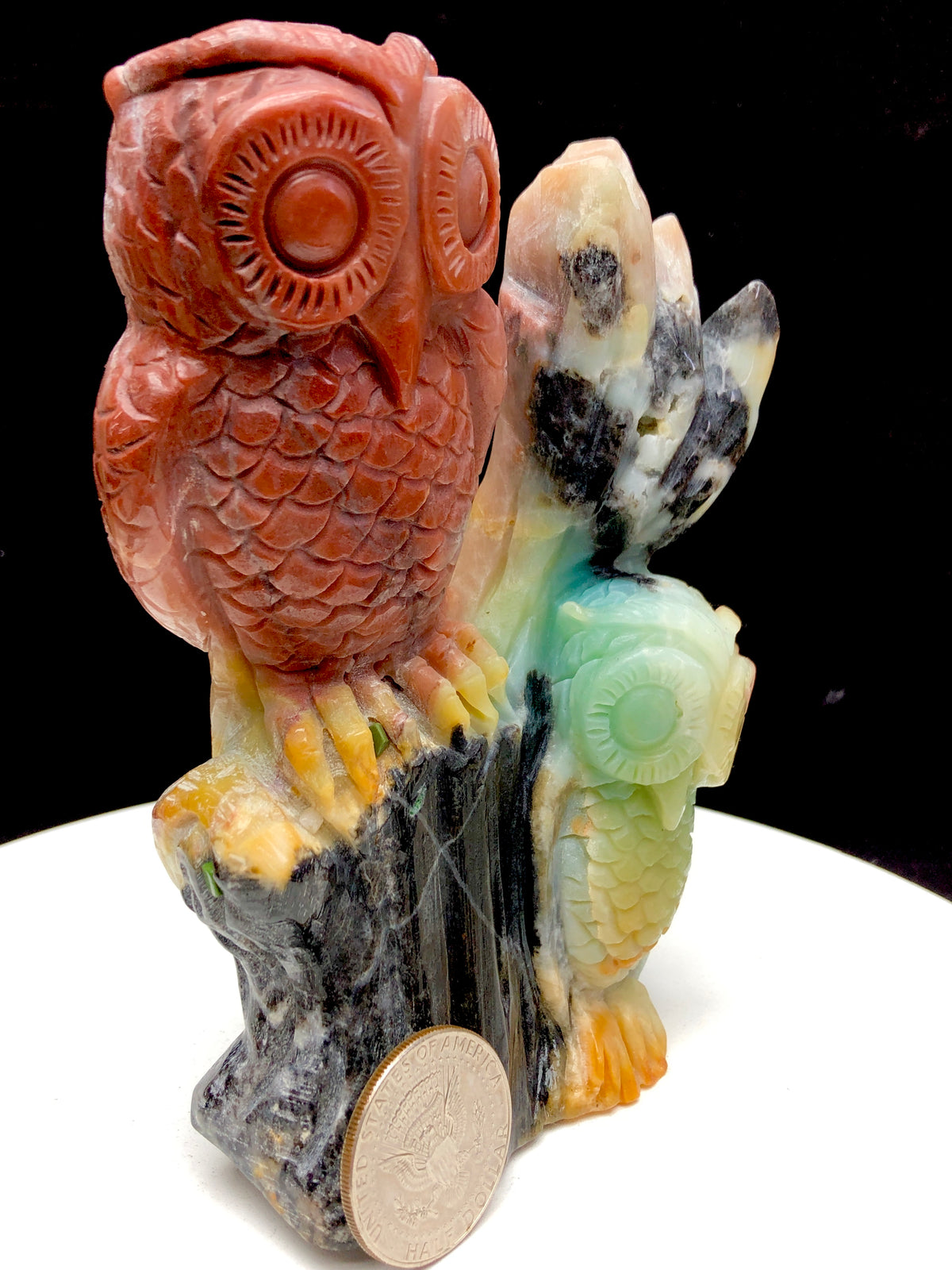 Caribbean calcite owl
