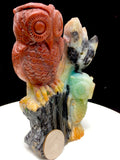 Caribbean calcite owl