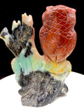 Caribbean calcite owl