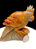 ocean jasper parrot