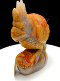 ocean jasper parrot