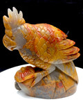 ocean jasper parrot