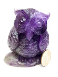 Amethyst owl
