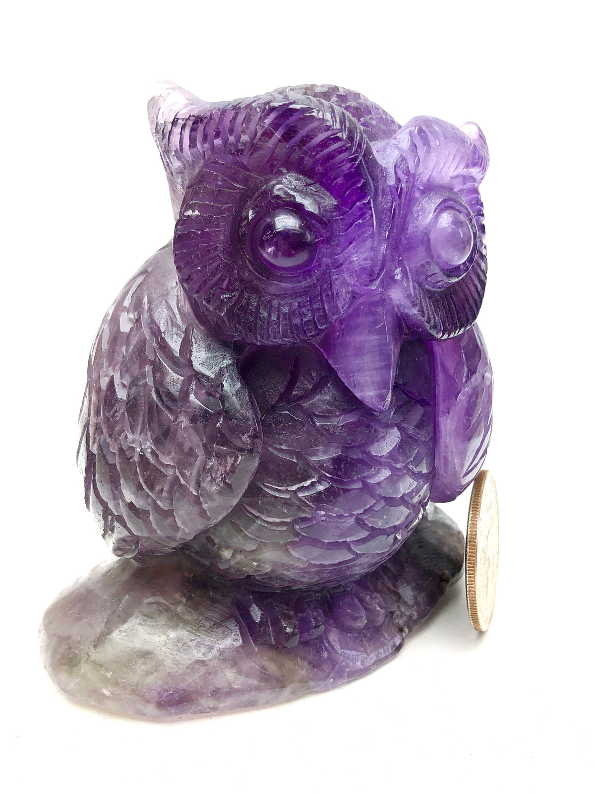 Amethyst owl