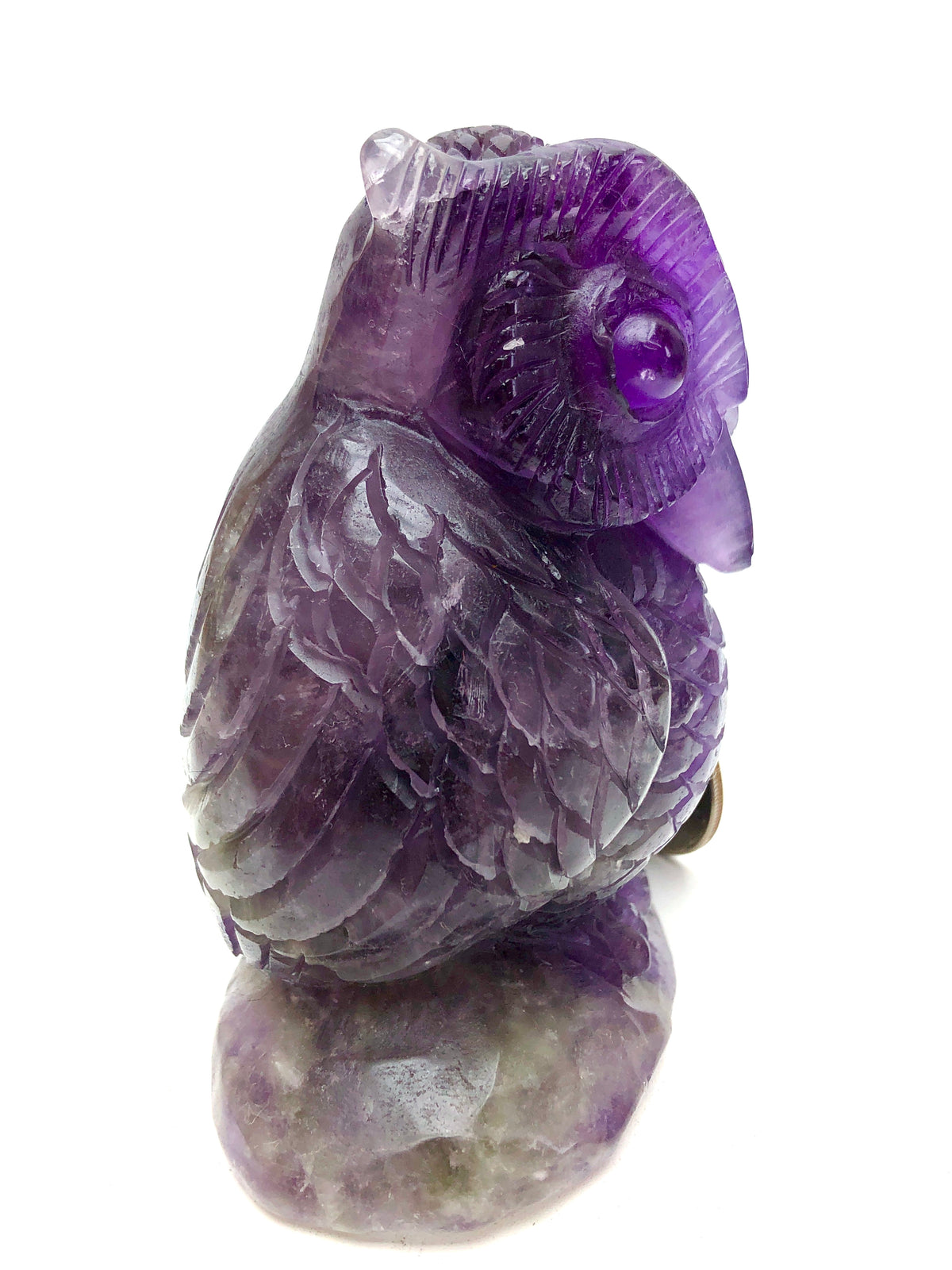 Amethyst owl