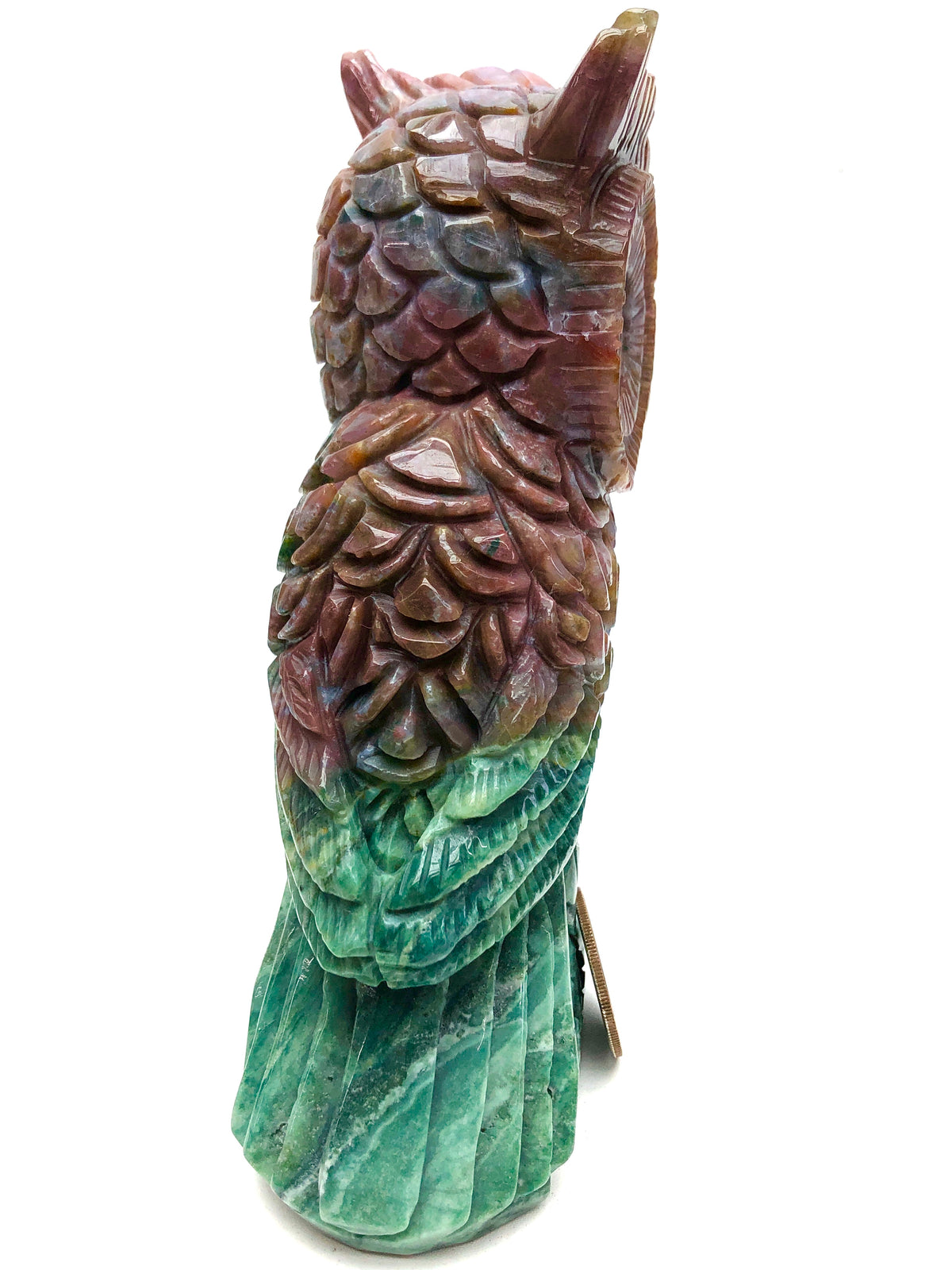 ocean jasper owl