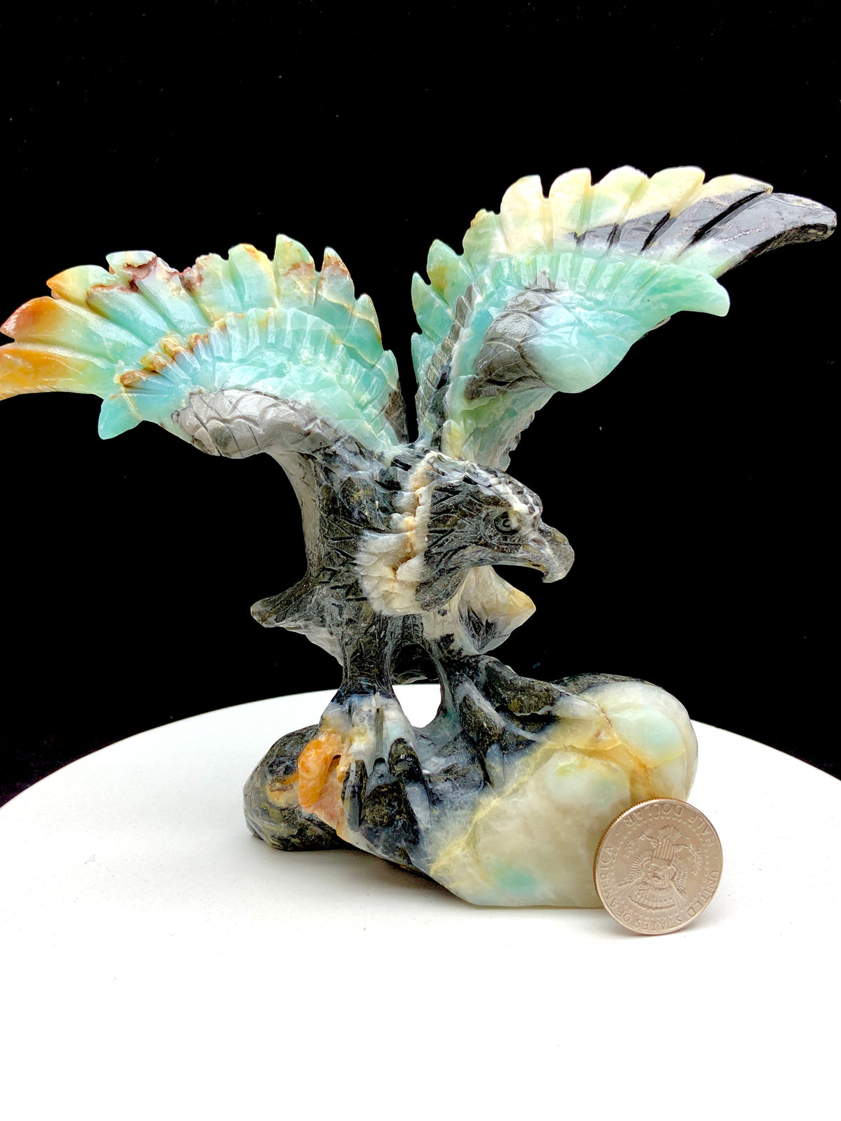 Caribbean calcite eagle