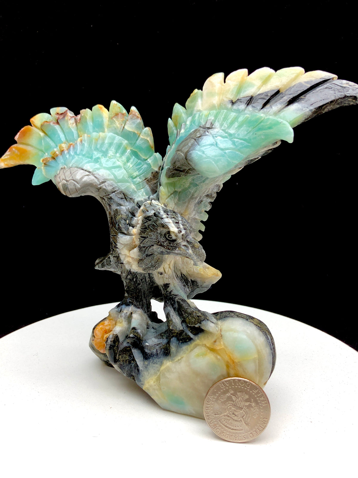 Caribbean calcite eagle