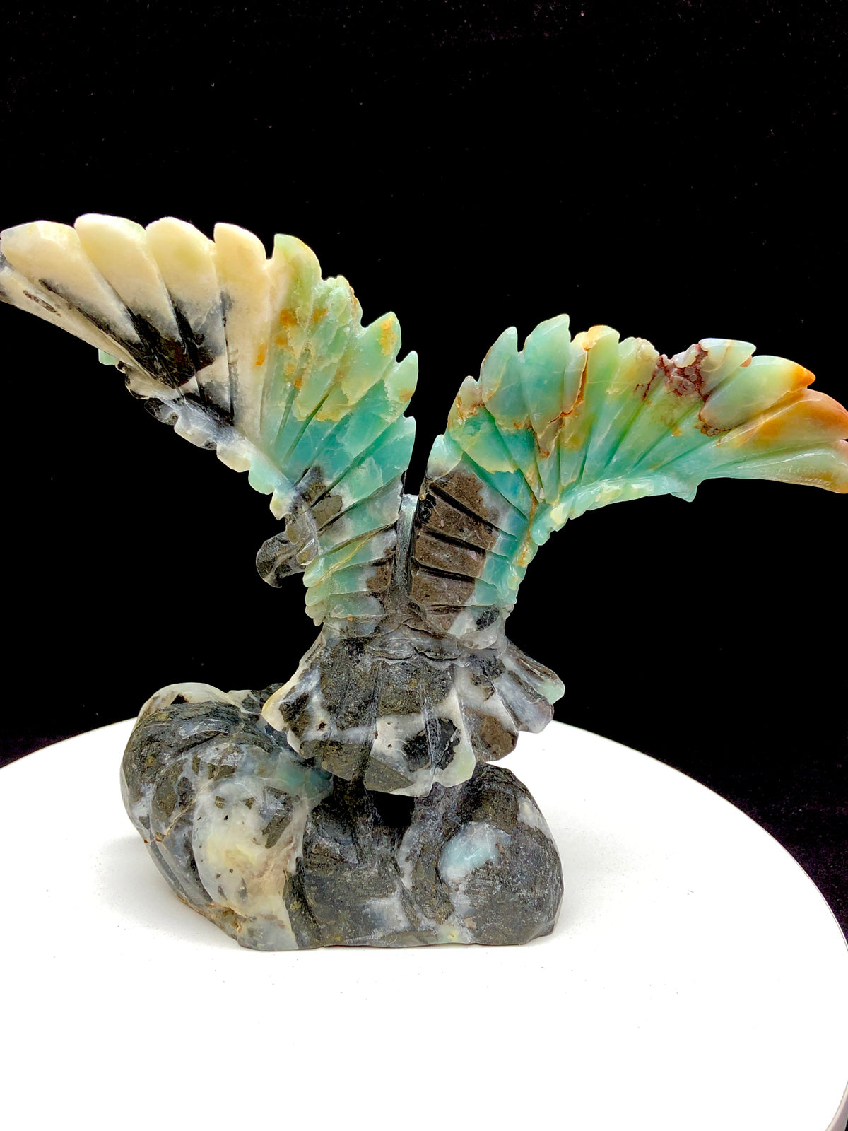 Caribbean calcite eagle