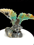 Caribbean calcite eagle