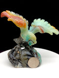 Caribbean calcite eagle