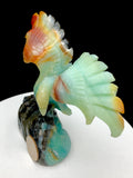 Caribbean calcite eagle