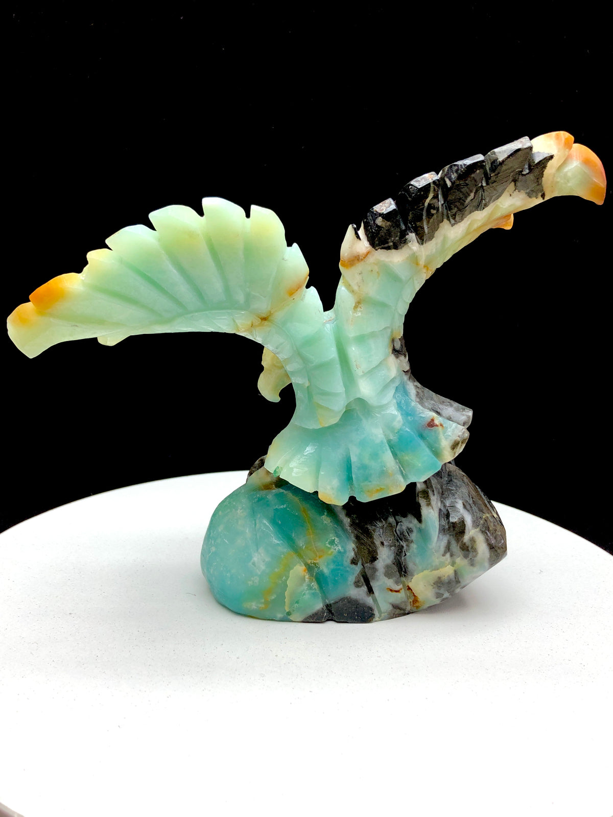 Caribbean calcite eagle