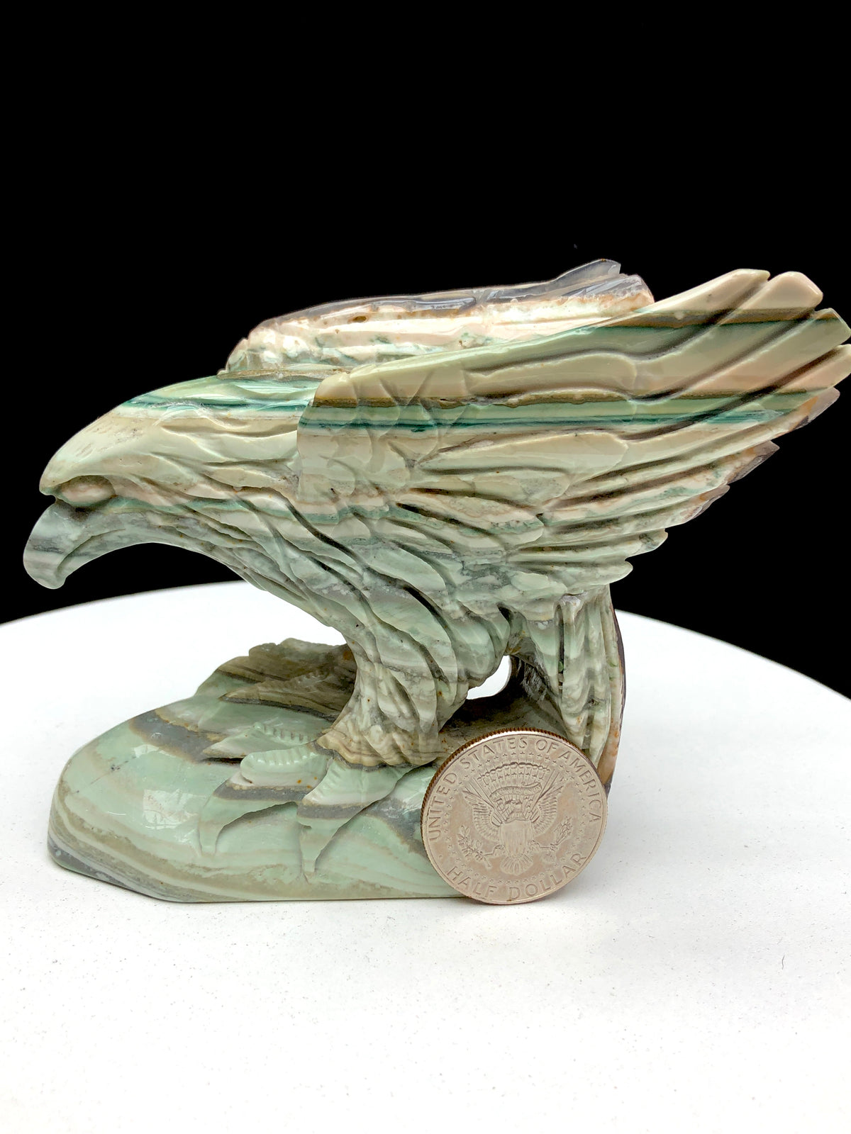 ocean jasper eagle caring