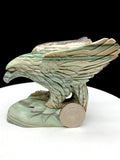 ocean jasper eagle caring