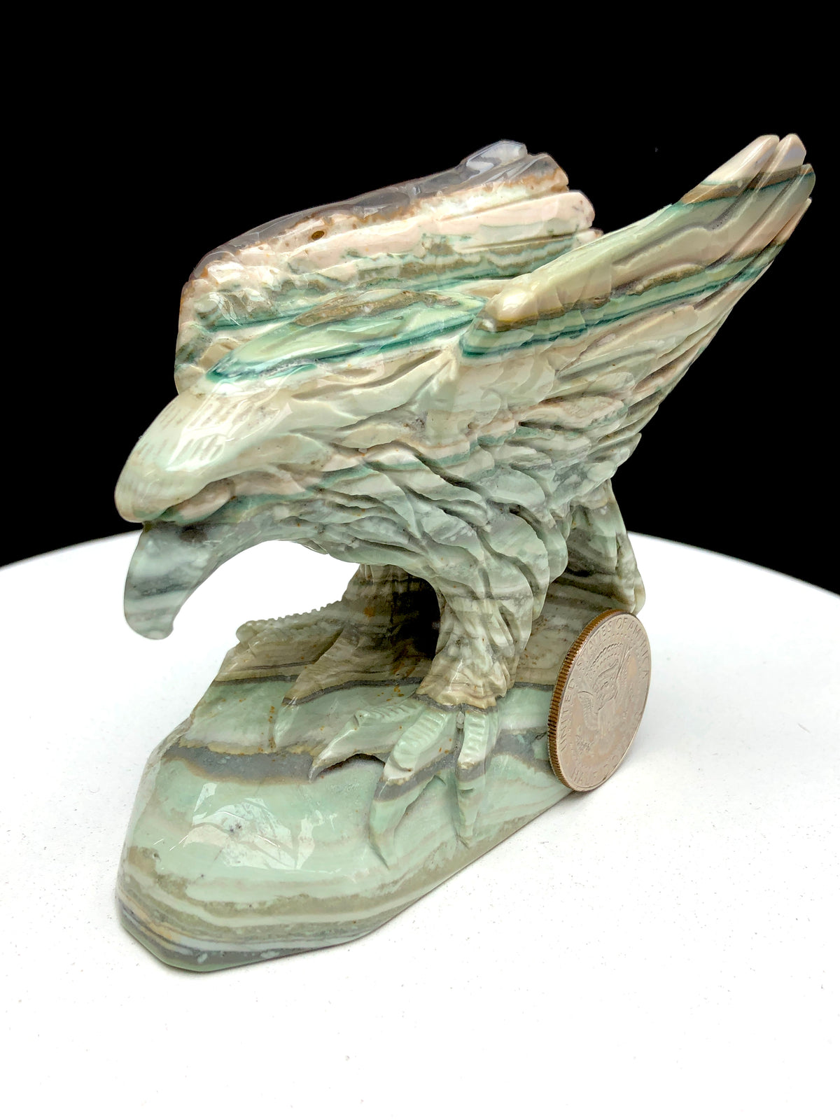 ocean jasper eagle caring