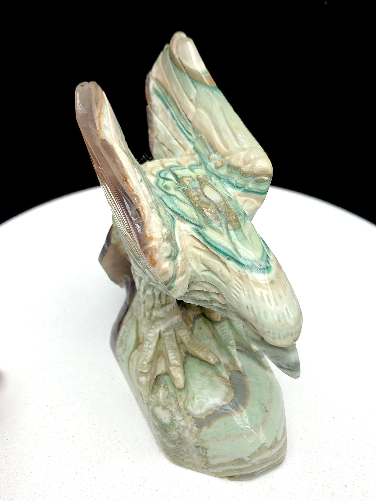 ocean jasper eagle caring
