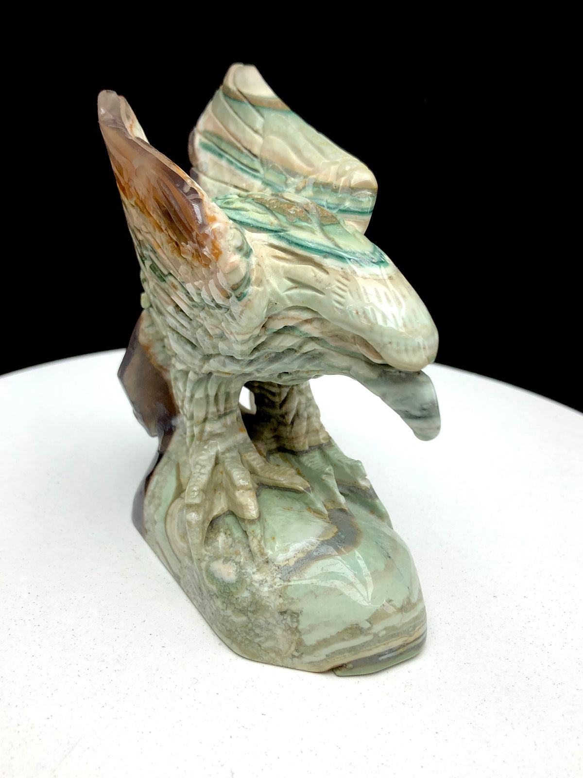 ocean jasper eagle caring