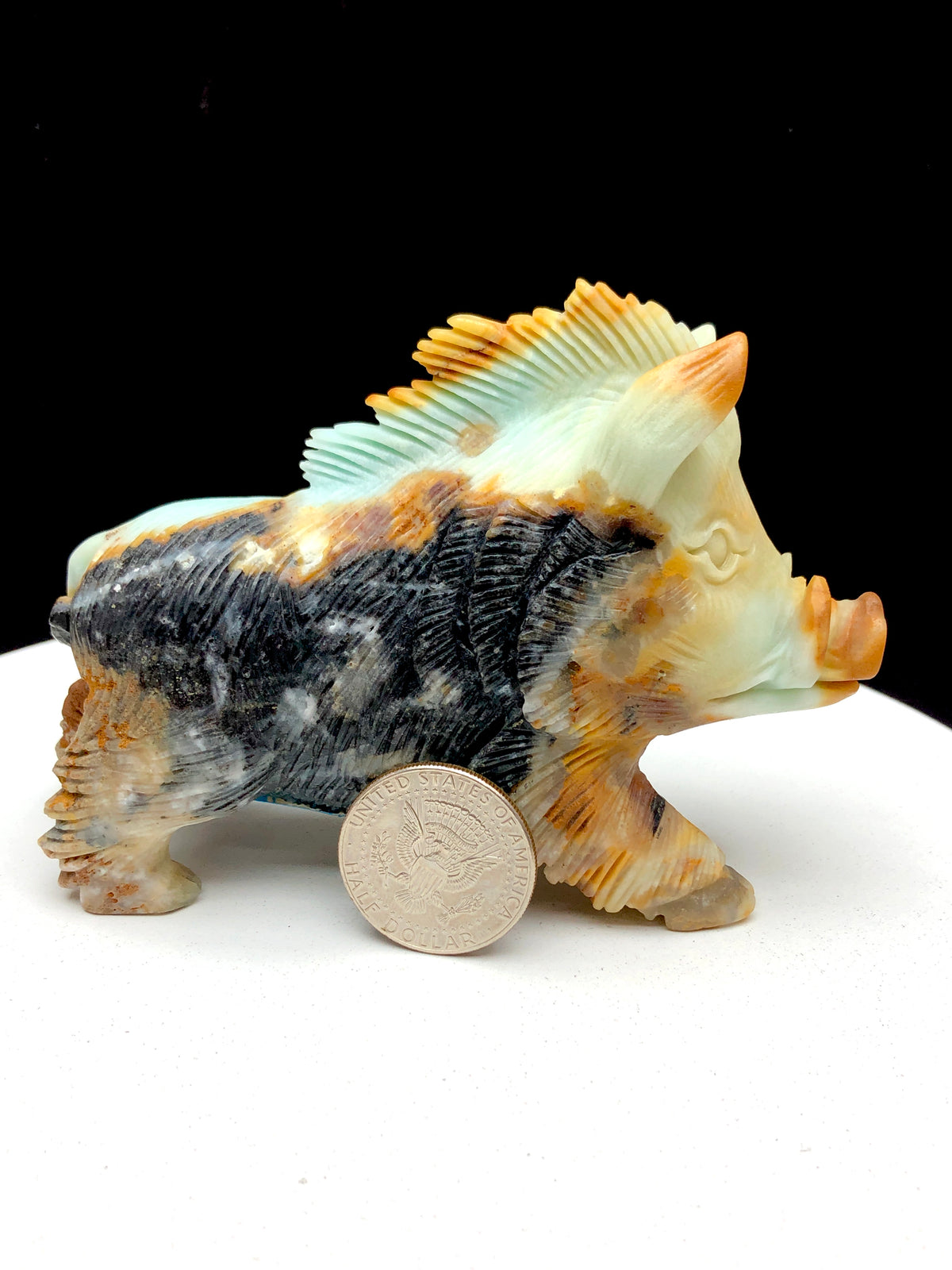Caribbean calcite wild boar