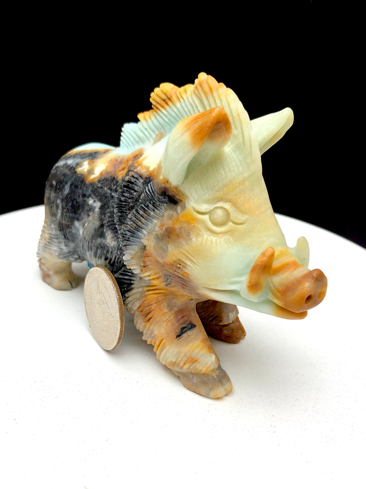 Caribbean calcite wild boar