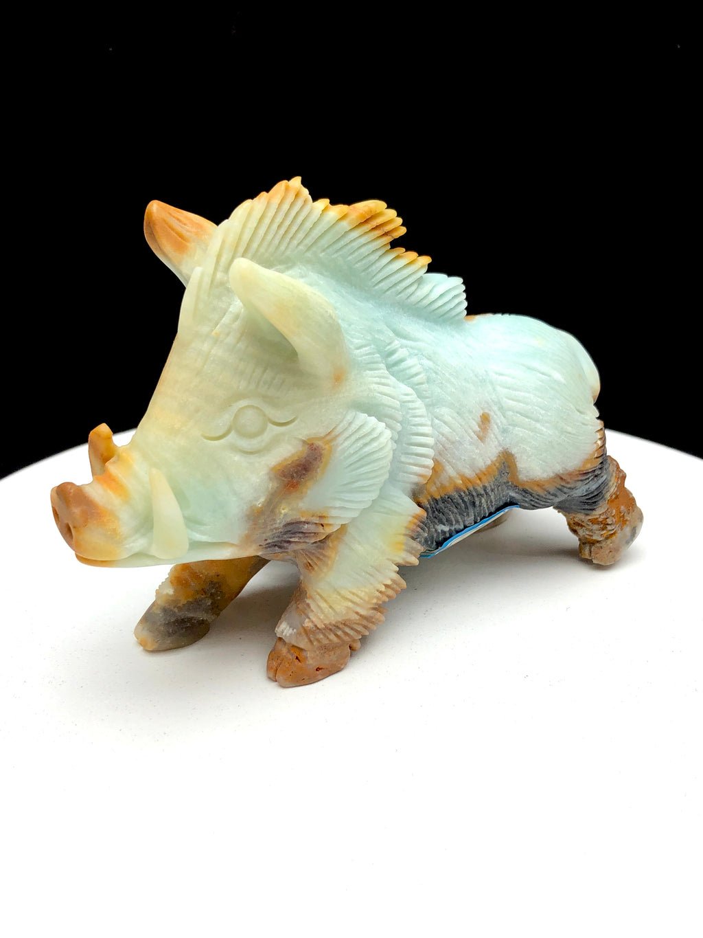 Caribbean calcite wild boar