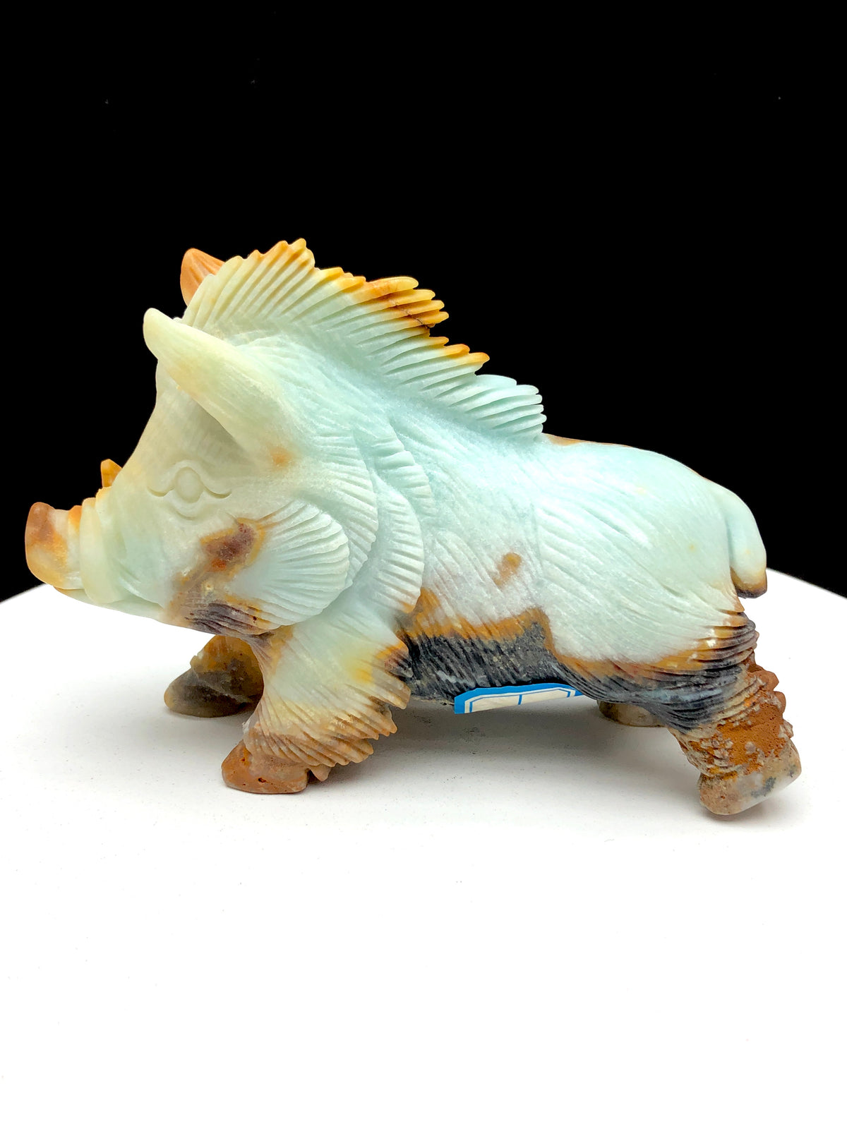 Caribbean calcite wild boar