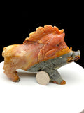 Caribbean calcite wild boar