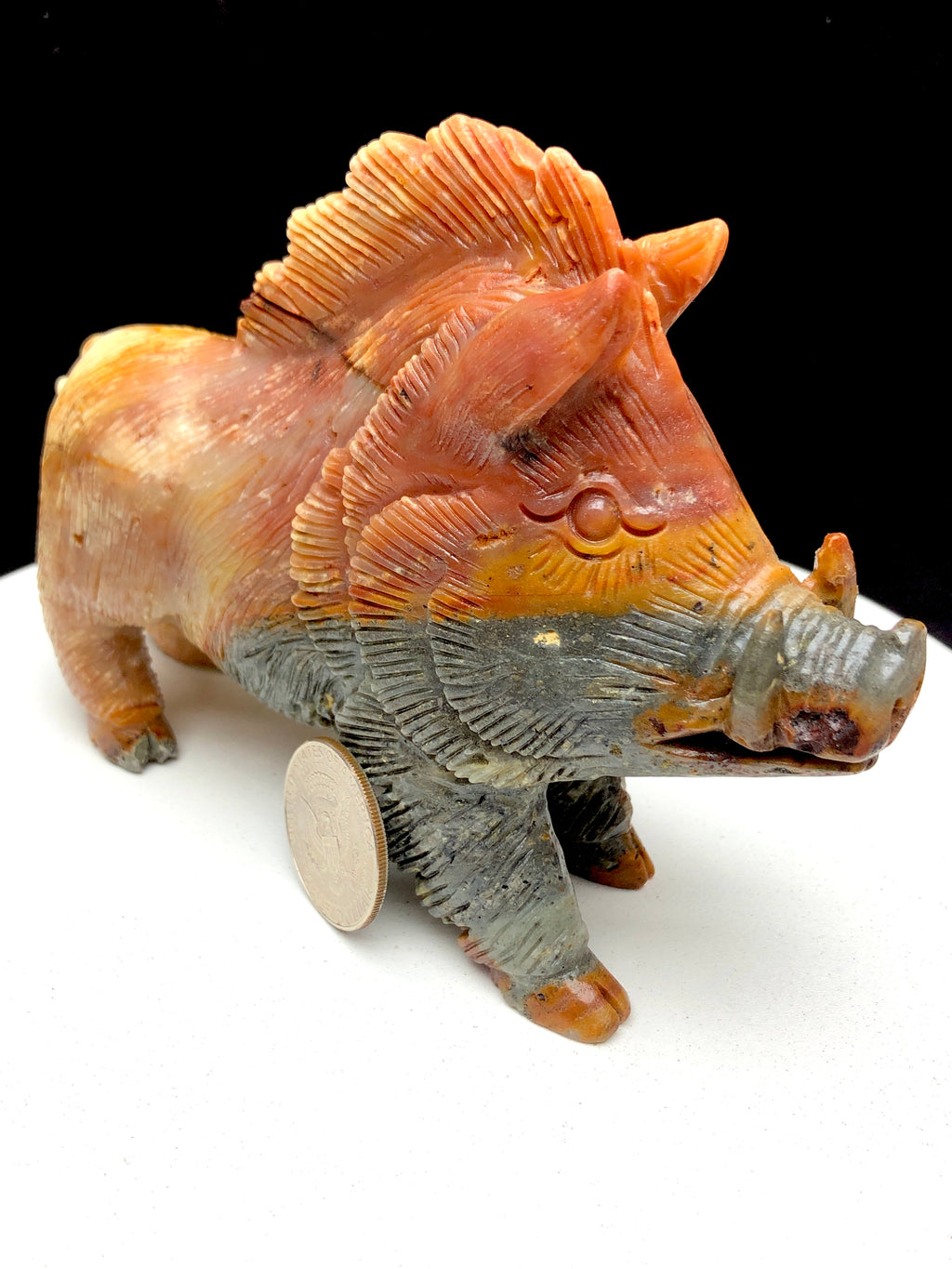 Caribbean calcite wild boar