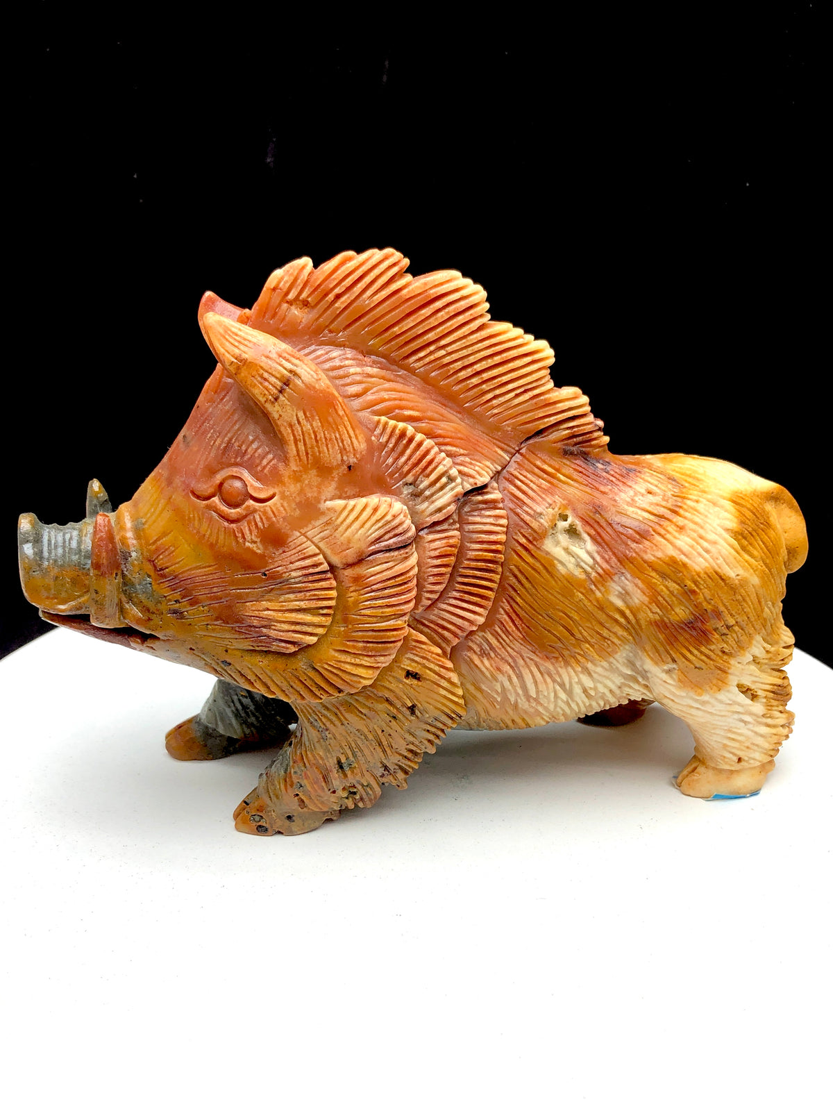 Caribbean calcite wild boar