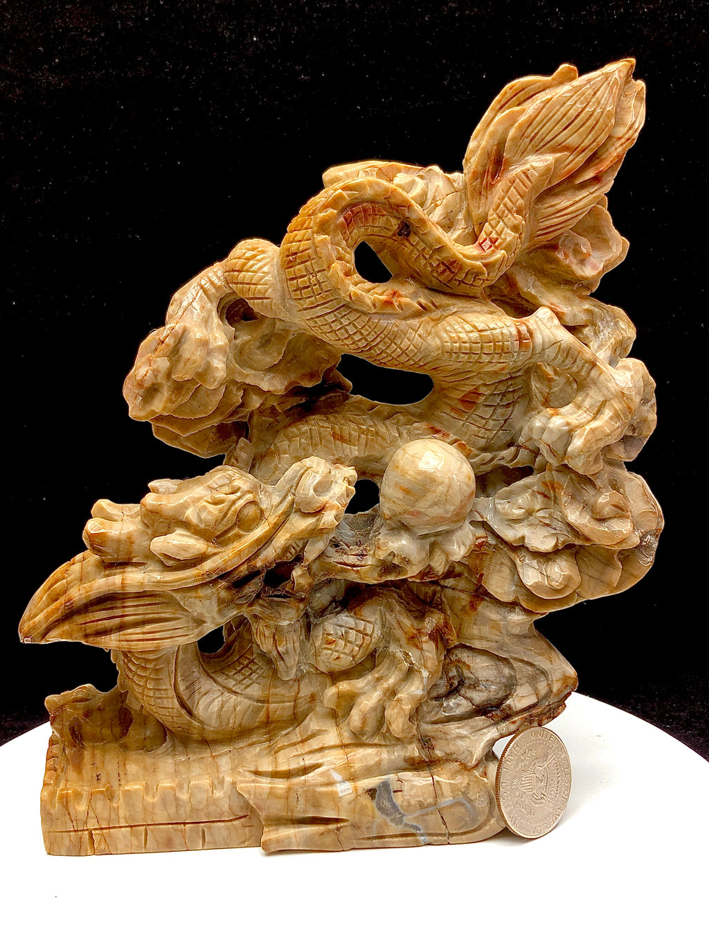 Petrified wood jasper chinese dragon