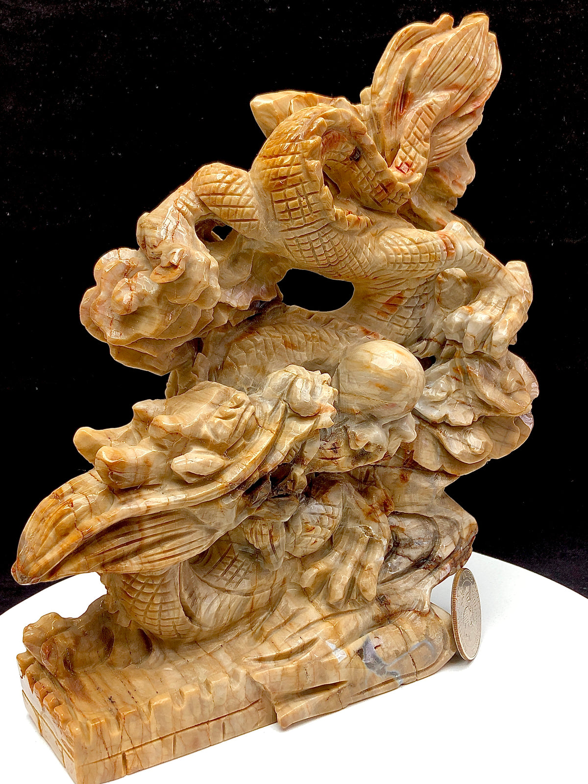 Petrified wood jasper chinese dragon