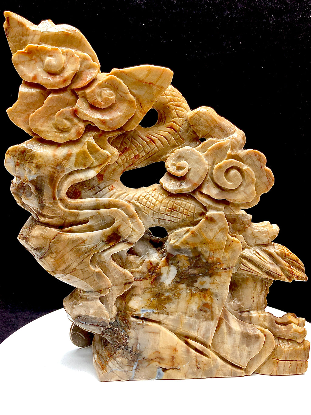 Petrified wood jasper chinese dragon