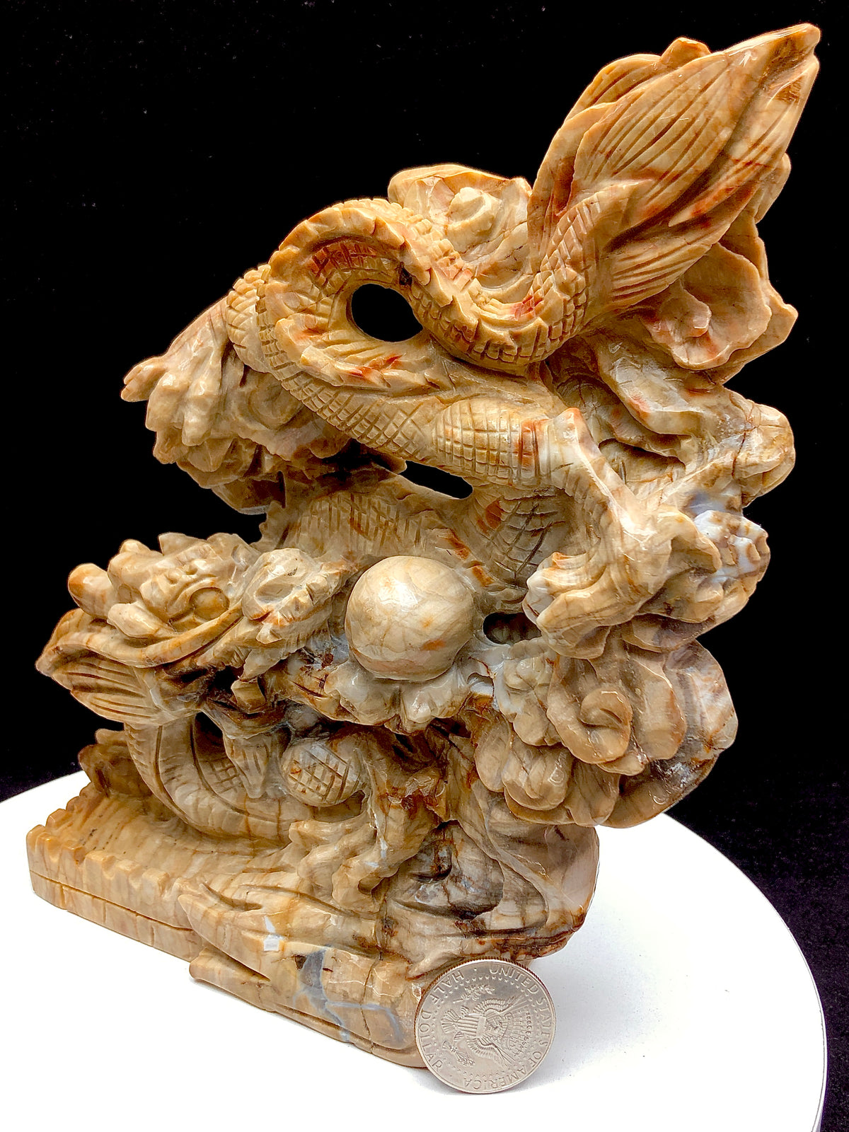 Petrified wood jasper chinese dragon