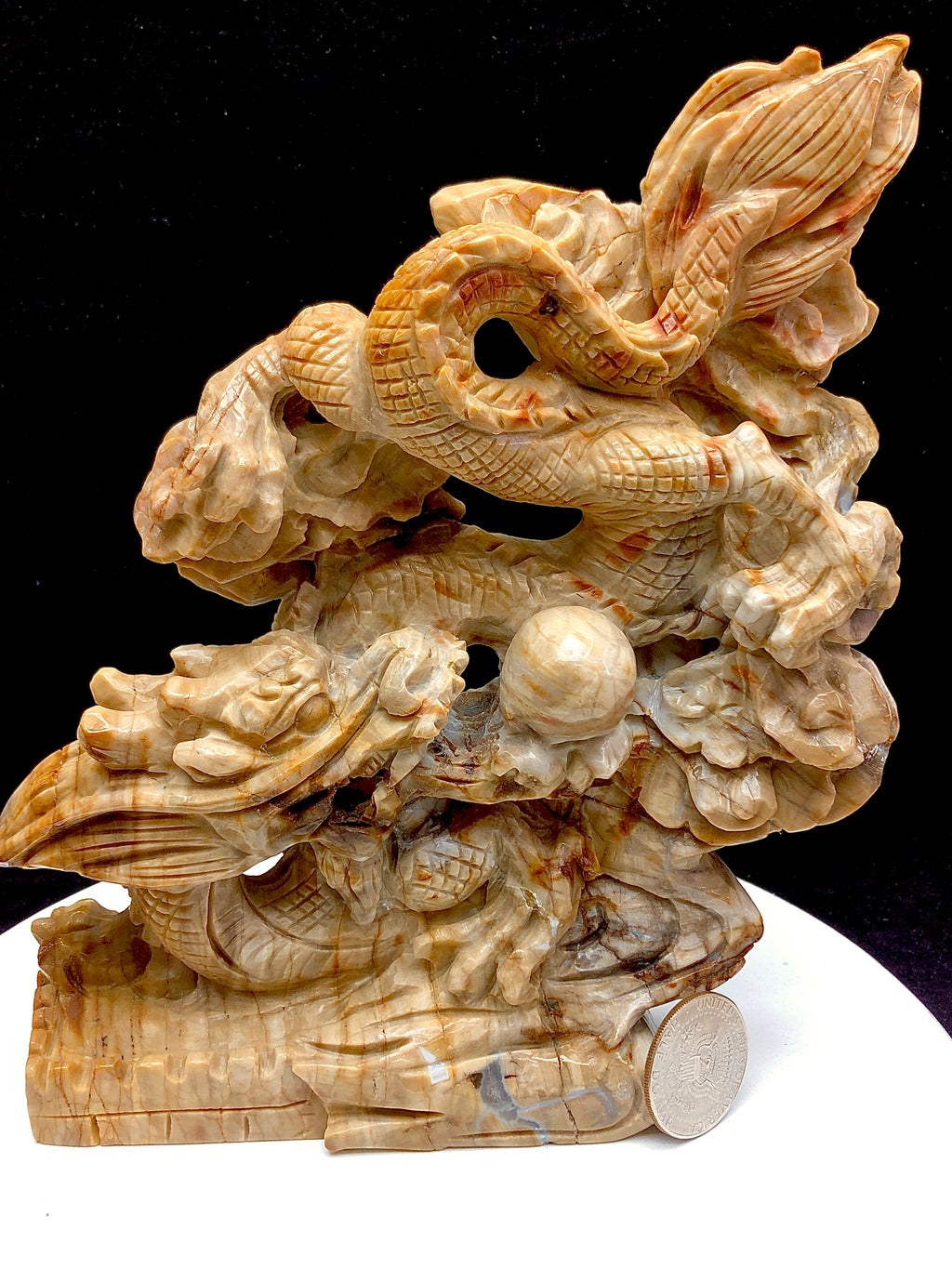 Petrified wood jasper chinese dragon