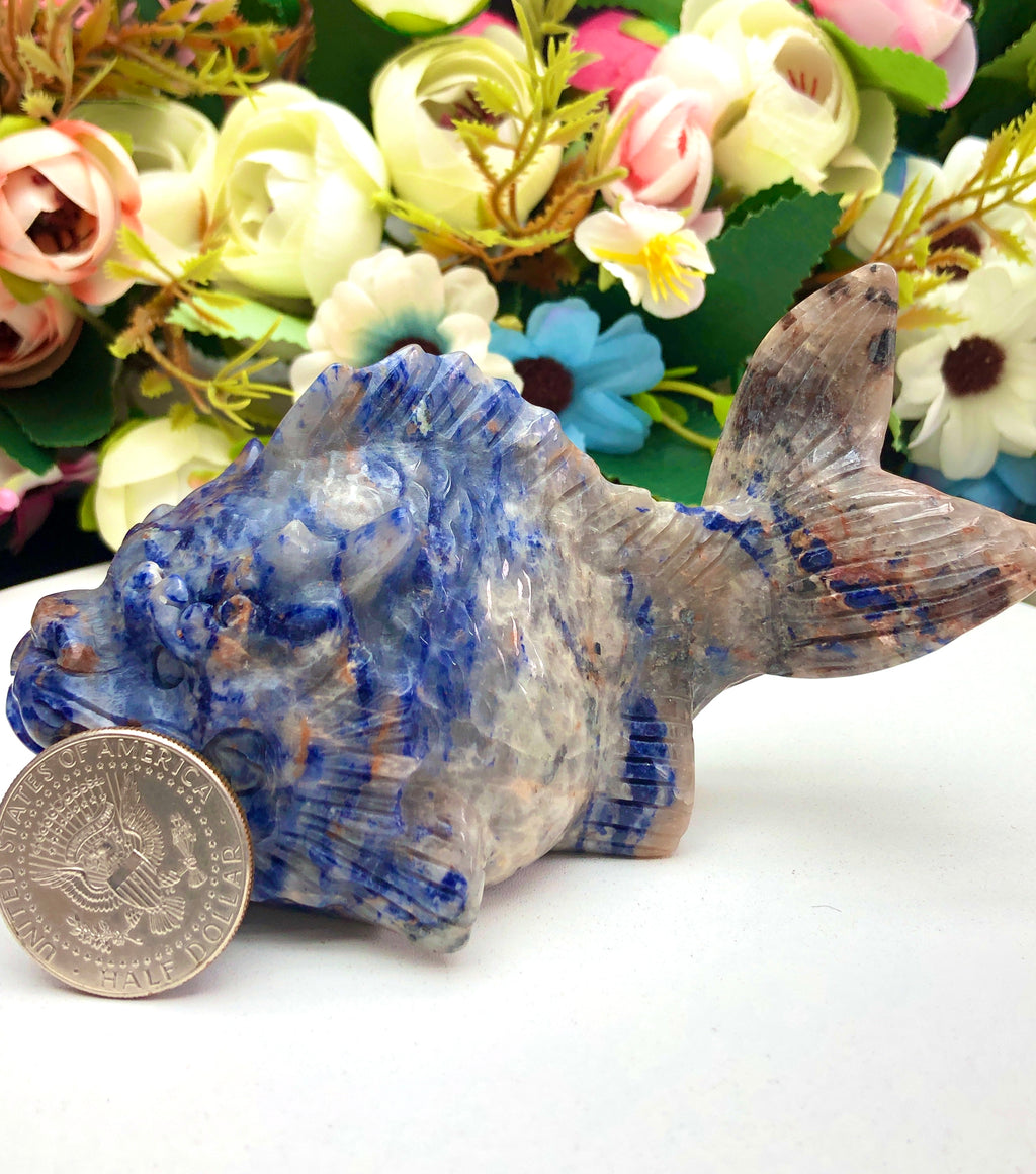 blue sodalite dragon fish