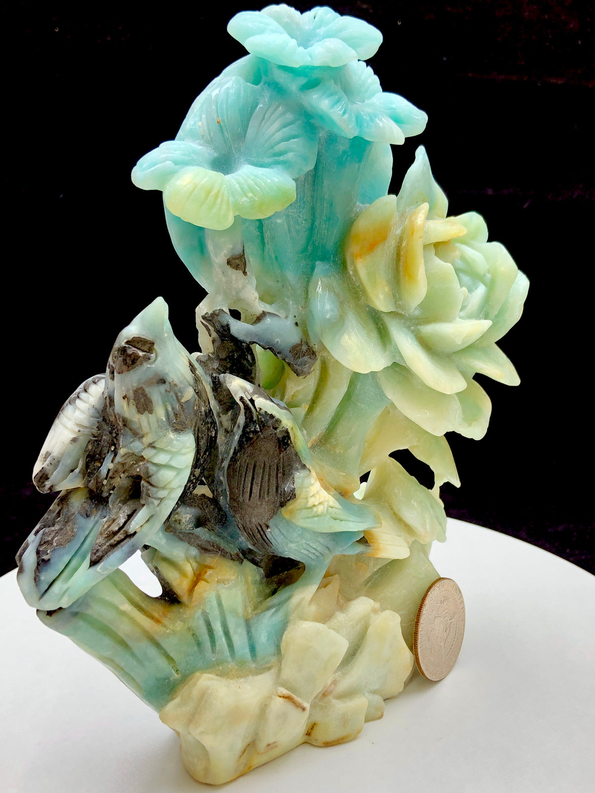 Caribbean calcite bird with flower