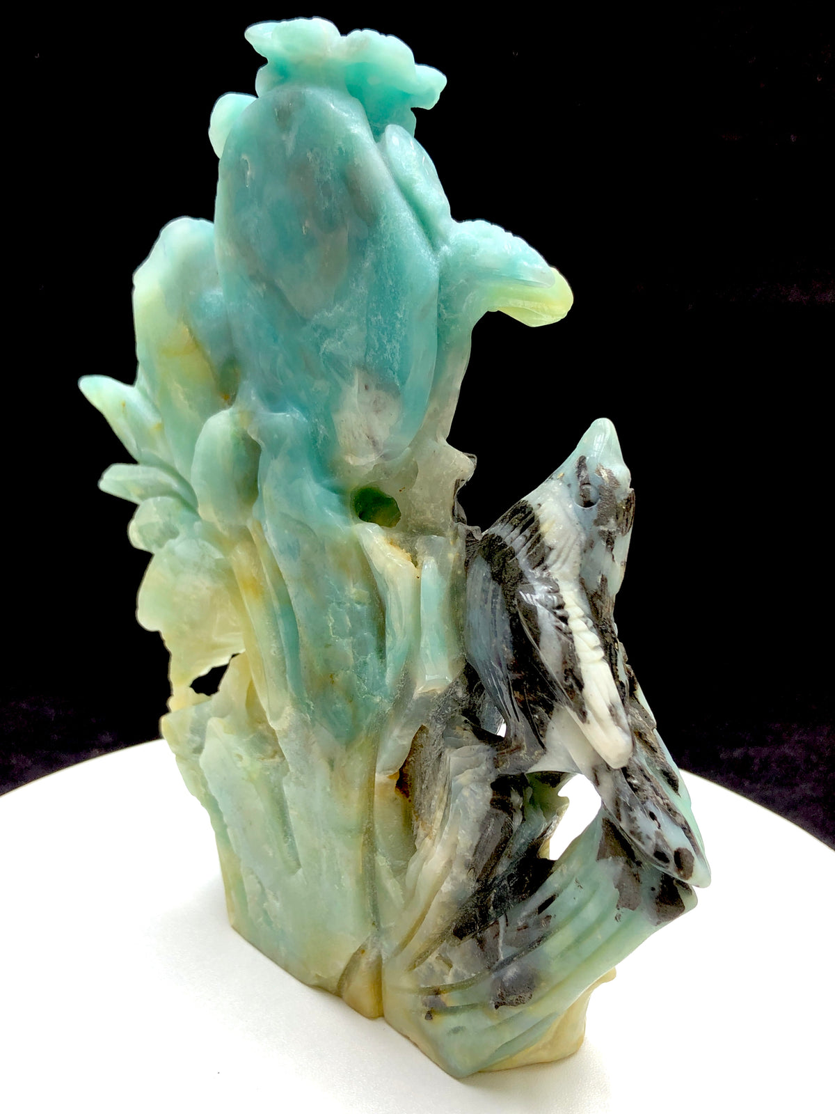 Caribbean calcite bird with flower
