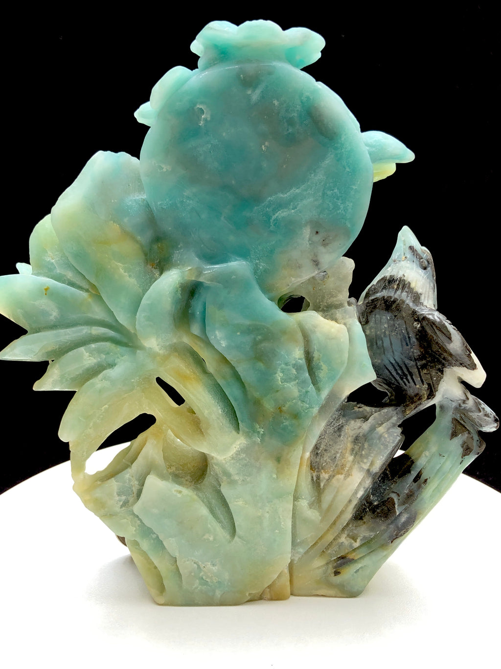Caribbean calcite bird with flower