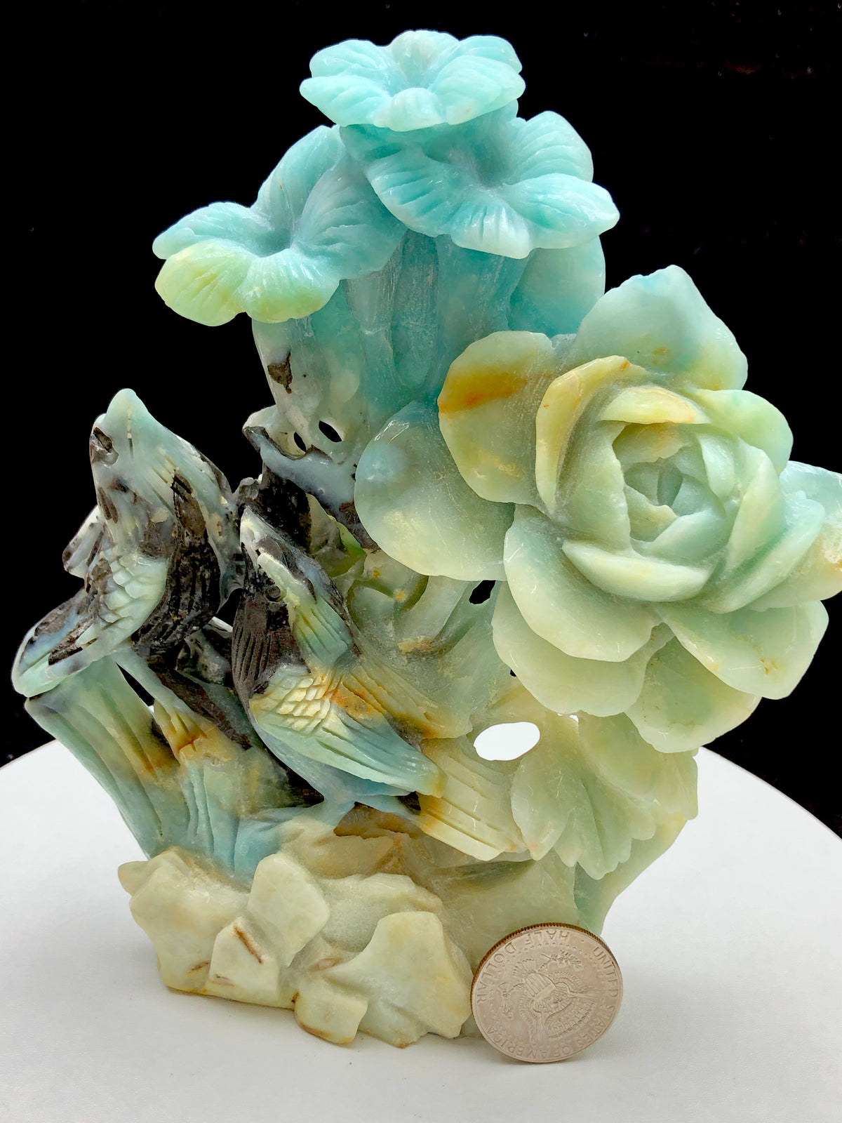 Caribbean calcite bird with flower