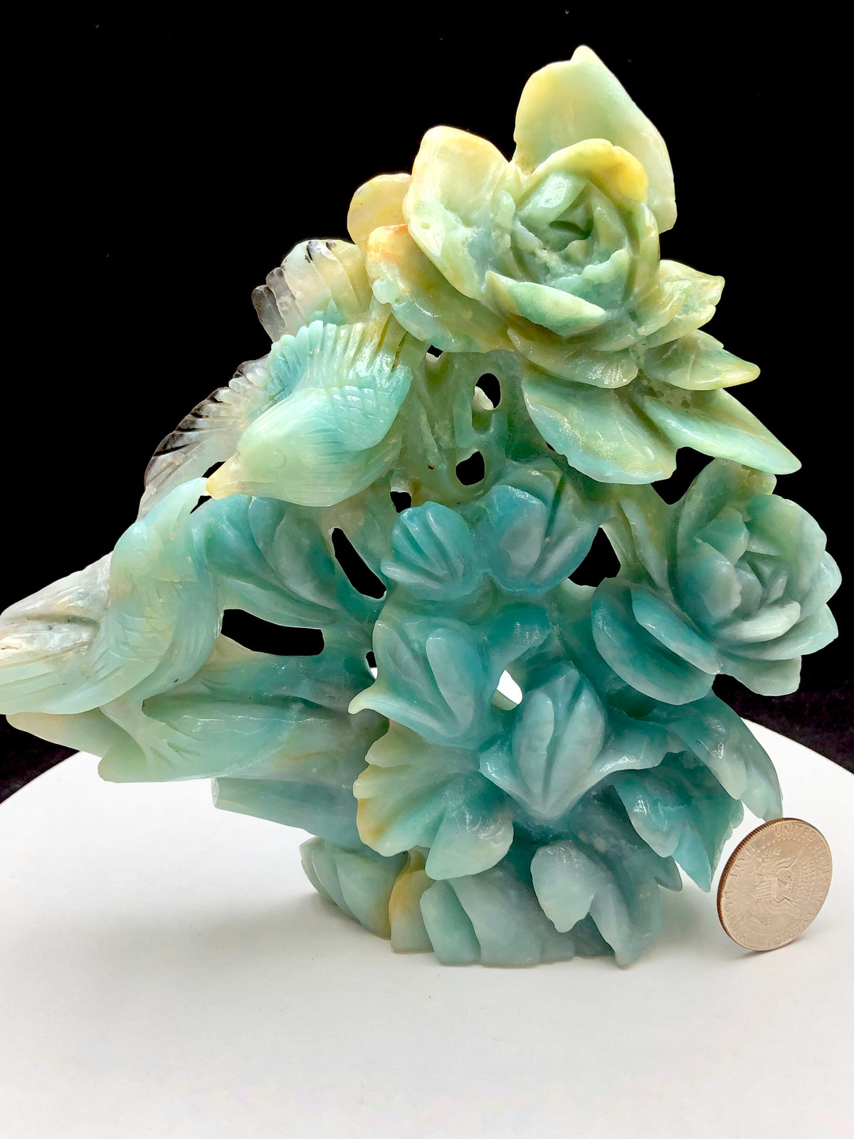 Caribbean calcite bird with flower