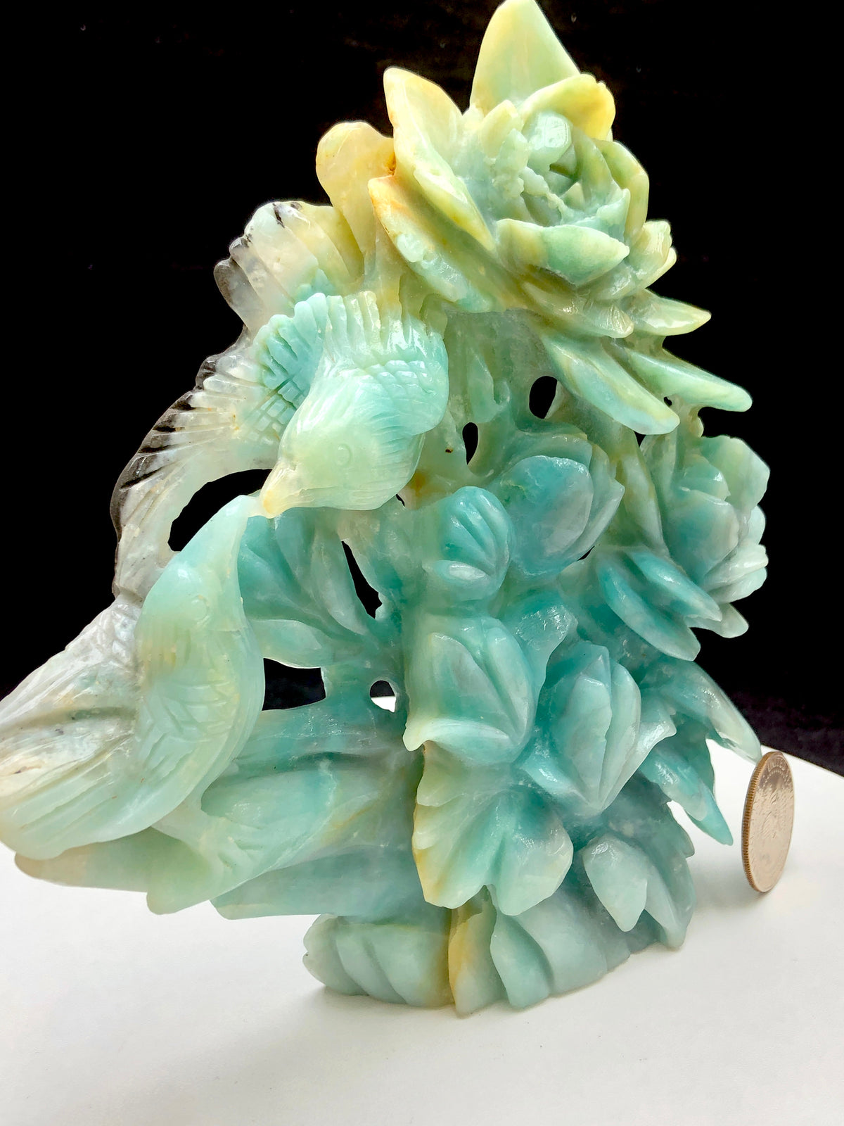 Caribbean calcite bird with flower