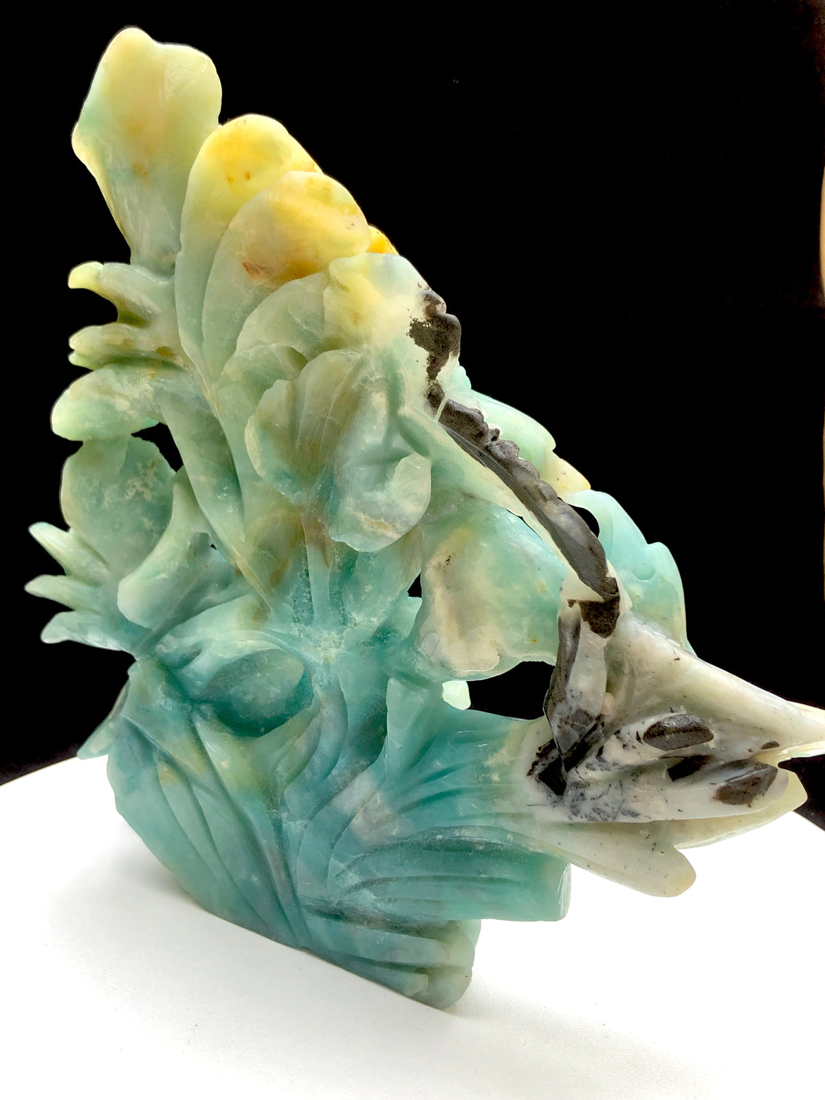 Caribbean calcite bird with flower