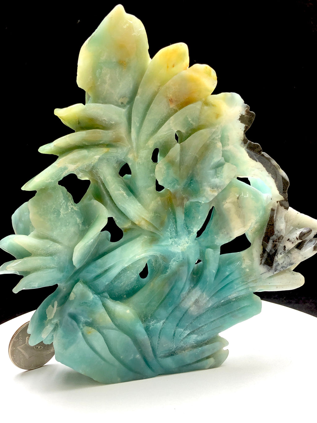 Caribbean calcite bird with flower