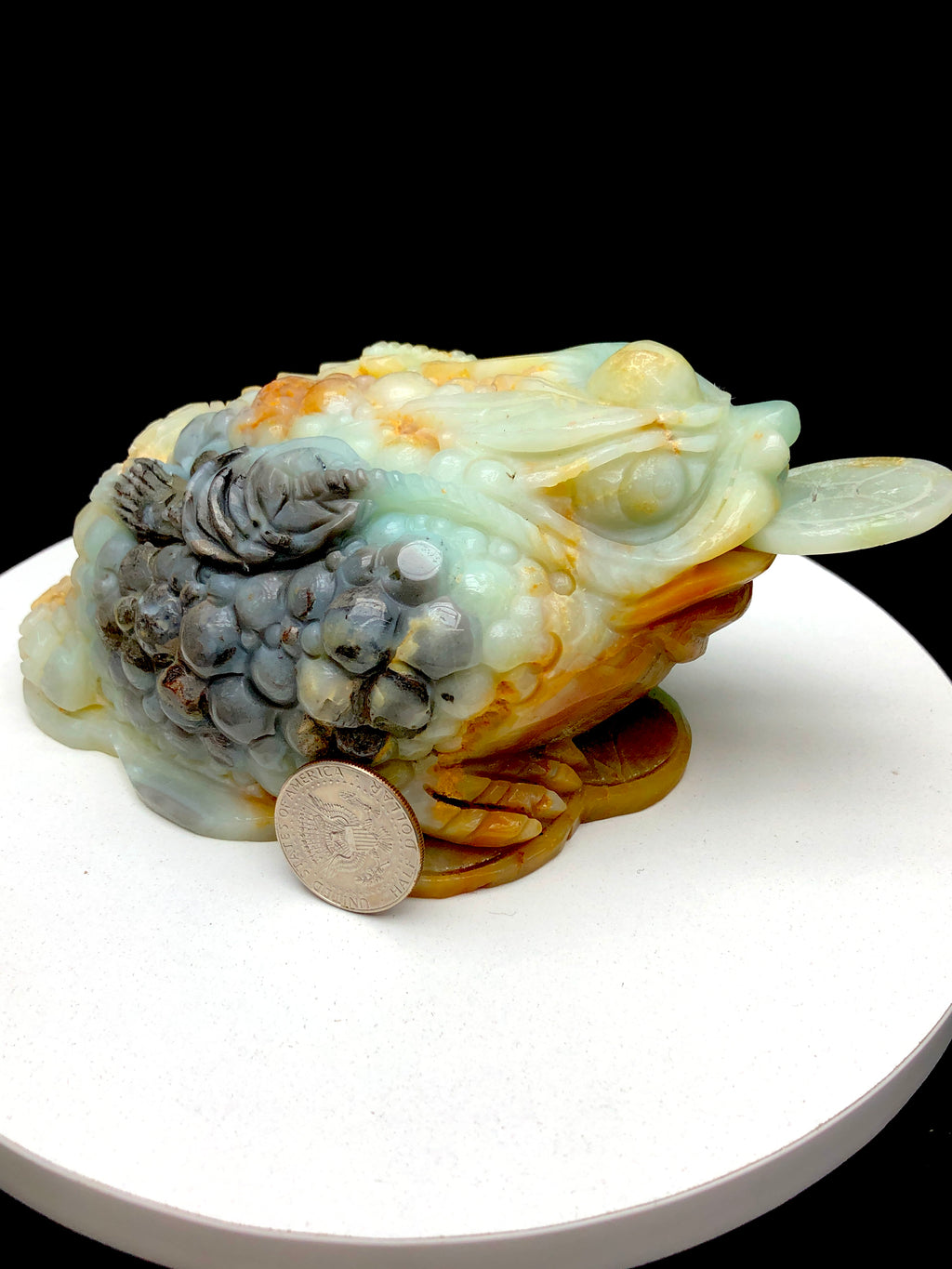 Caribbean Calcite Money Toad